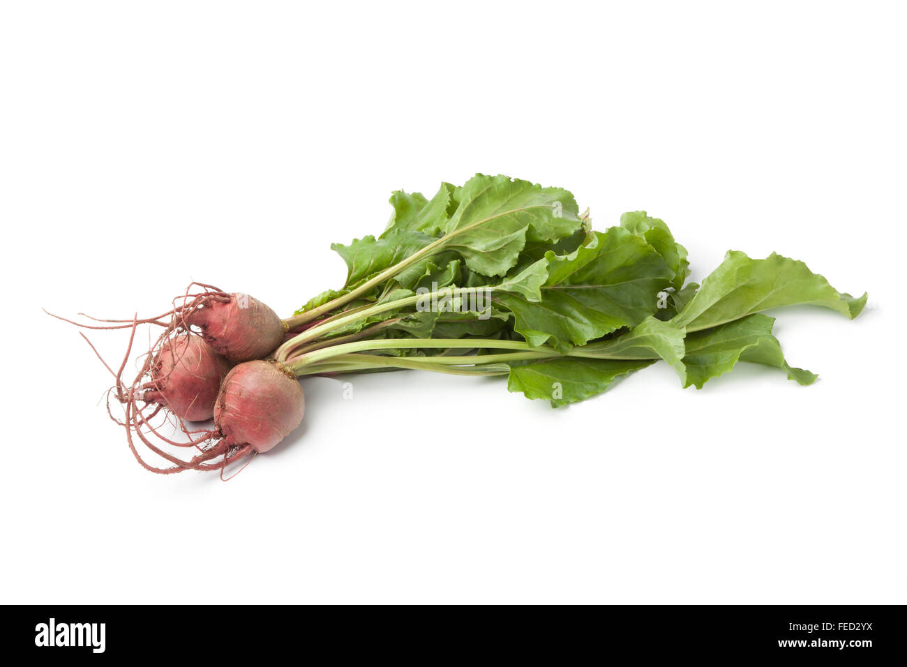 Fresh raw Chioggia  beets on white background Stock Photo