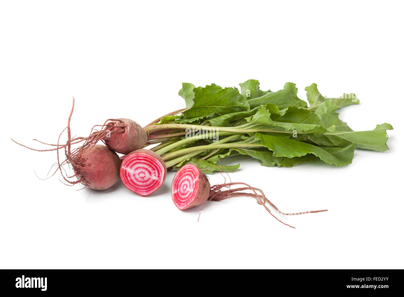 Fresh raw Chioggia  beets on white background Stock Photo