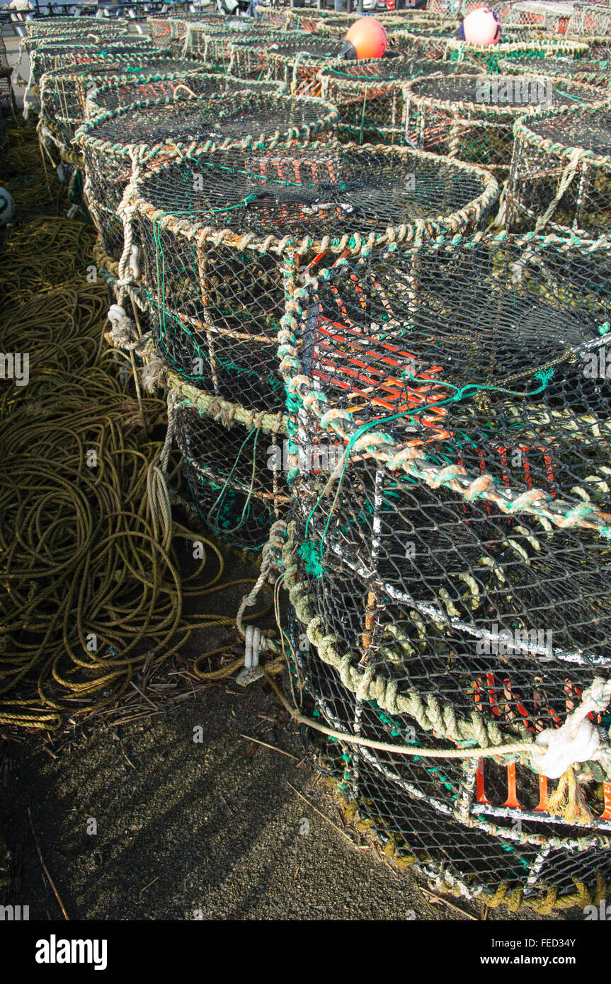 Crab nets in Mudeford Quay, Dorset Stock Photo - Alamy