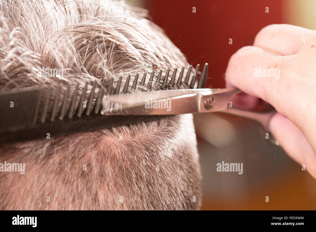 woman cuts hair with scissors, razor in professional hairdressing salon