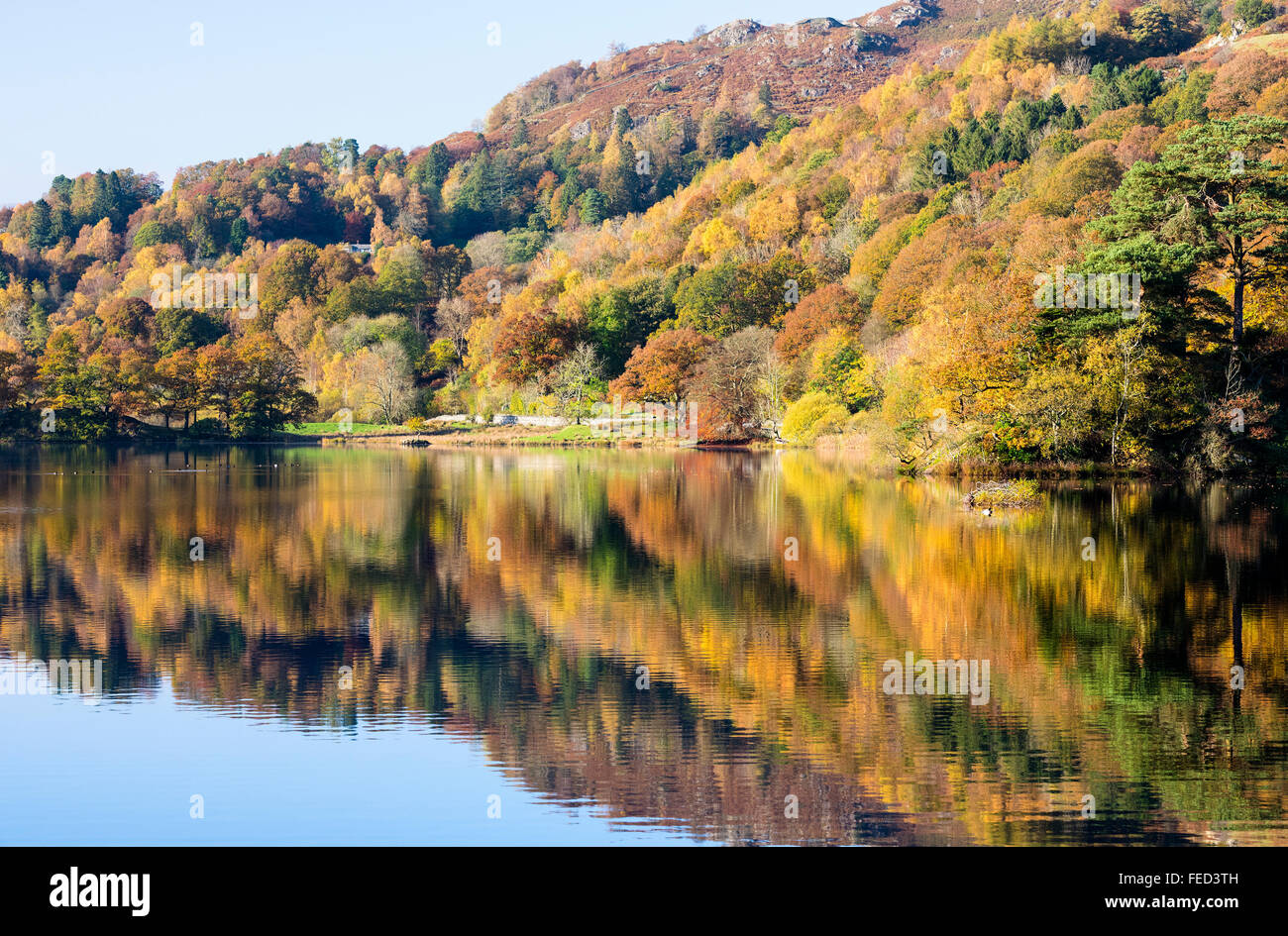 Rydal Water in autumn, Cumbria, UK Stock Photo