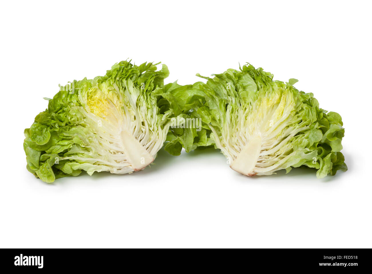 Inside of fresh green oak leaf lettuce on white background Stock Photo