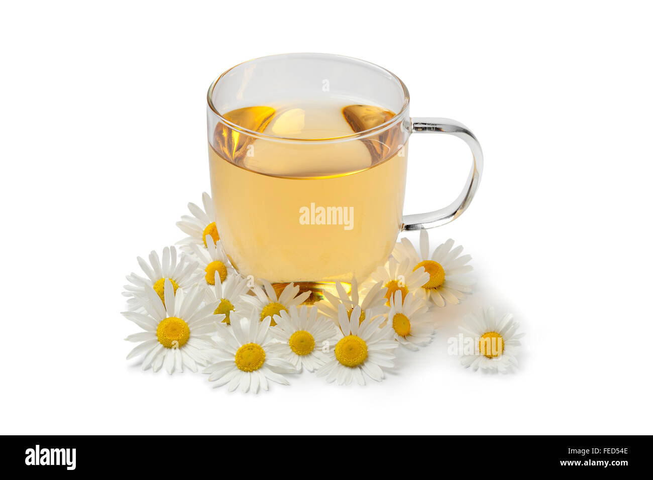 Cup of tea with fresh chamomile flowers on white background Stock Photo