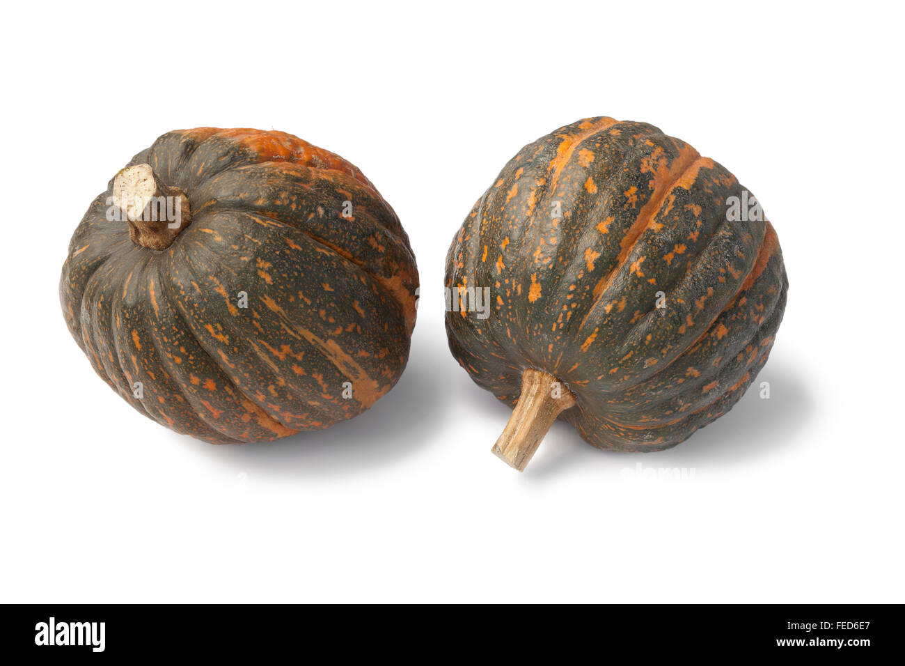 Two fresh butter pumpkins on white background Stock Photo - Alamy