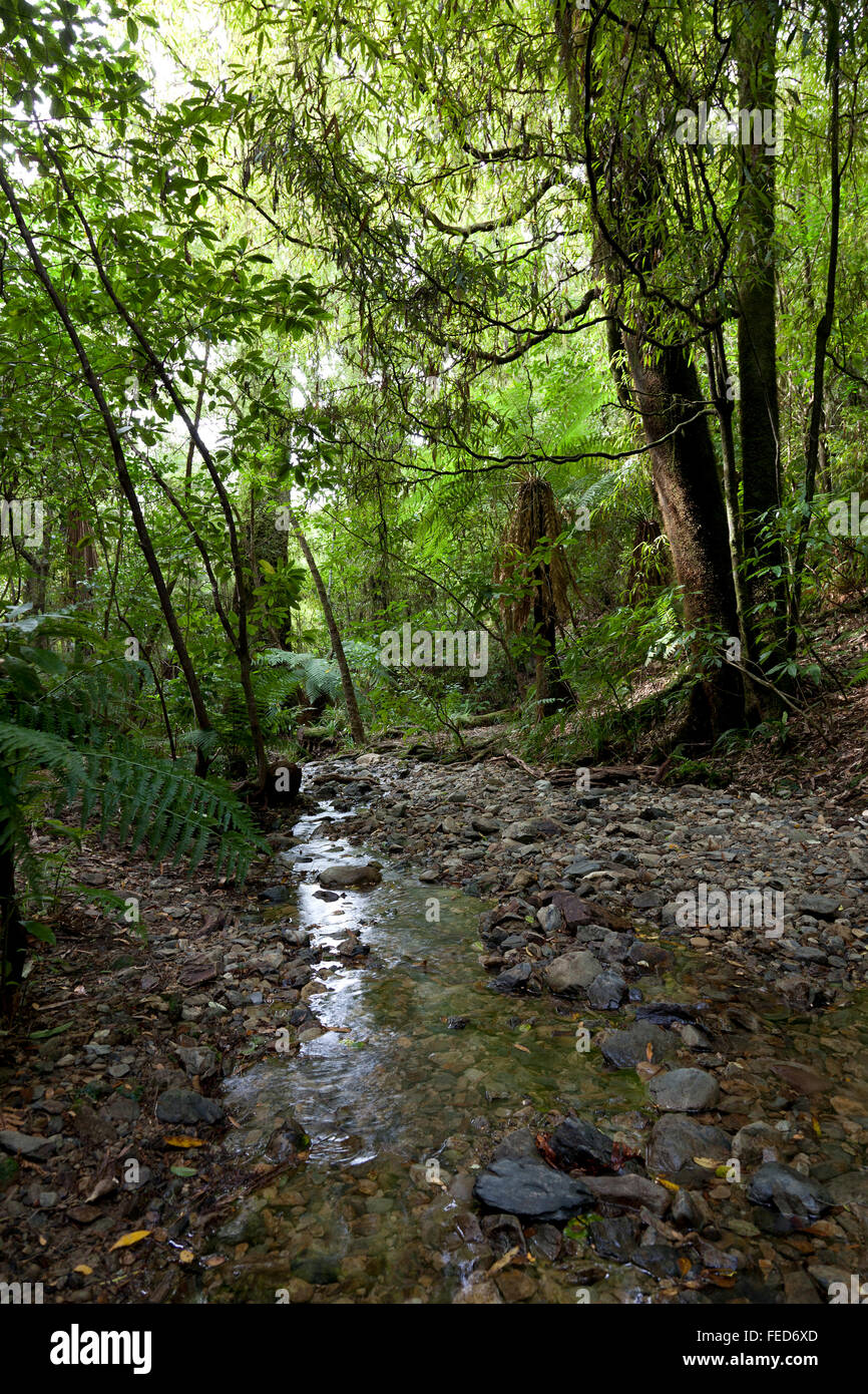 Pelorus Bridge Scenic Reserve on the Southern island of New Zealand Stock Photo
