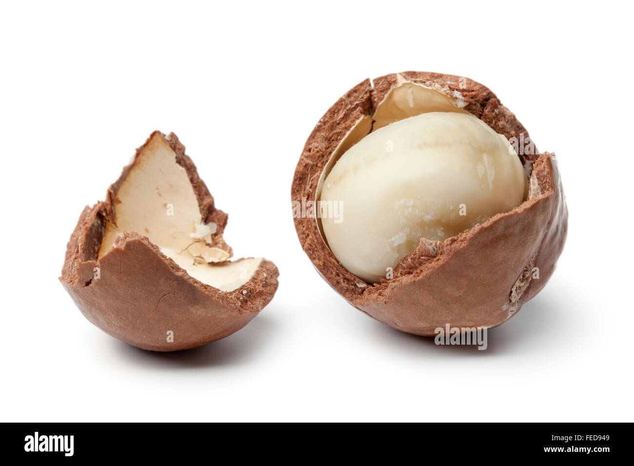 Macadamia nut in a broken shell on white background Stock Photo