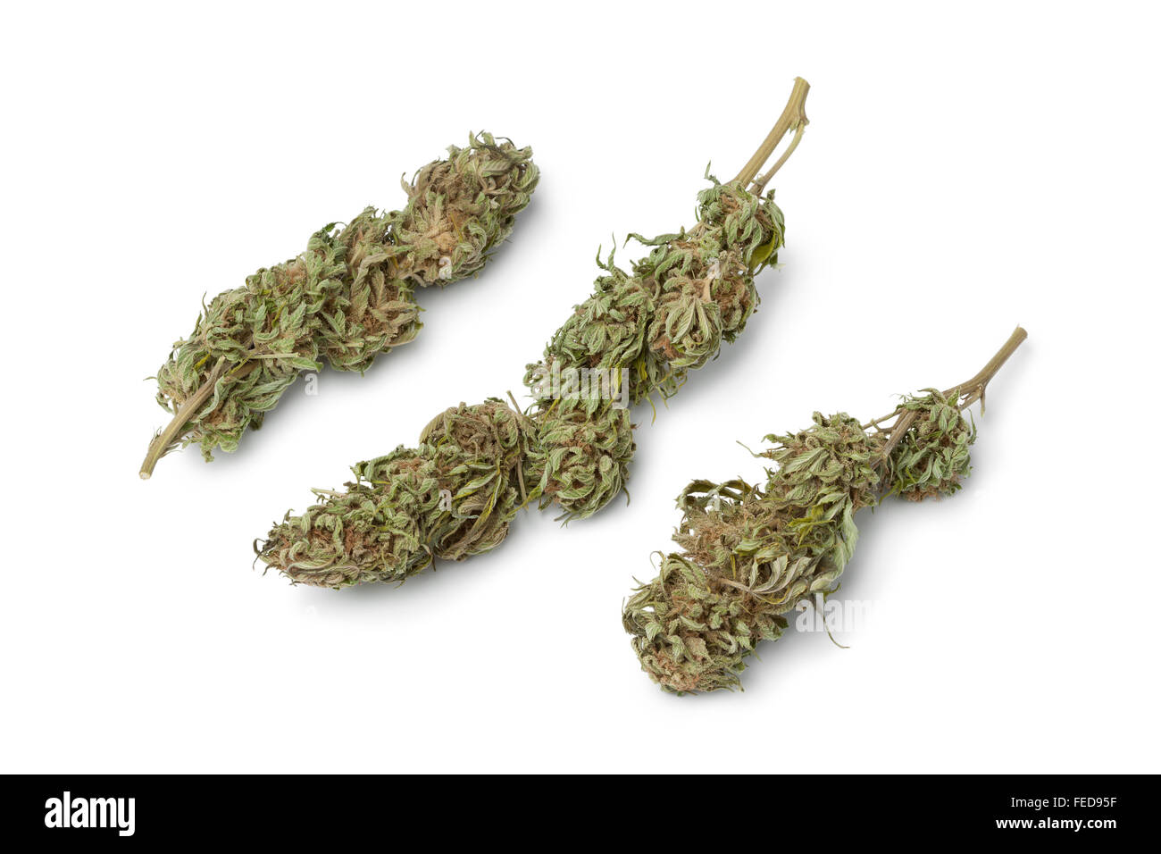 Dried marijuana buds with visible THC on white background Stock Photo