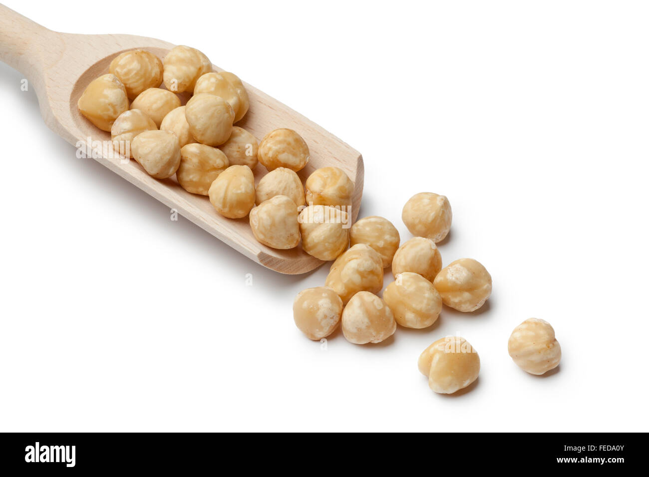 Fresh Macadamia nuts on a wooden spoon on white background Stock Photo