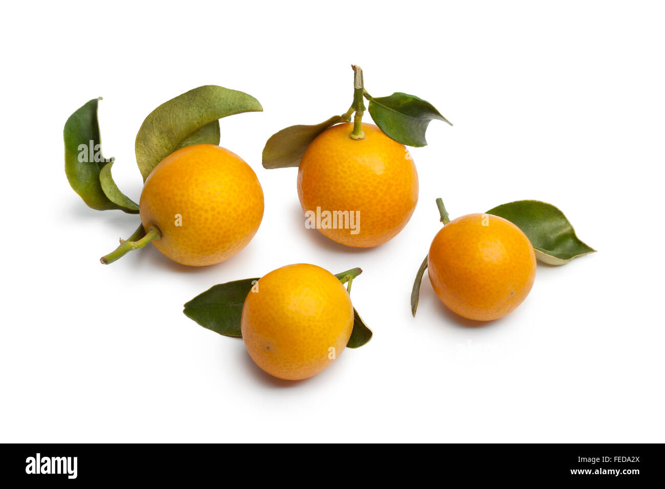 Fresh round kumquats on white background Stock Photo
