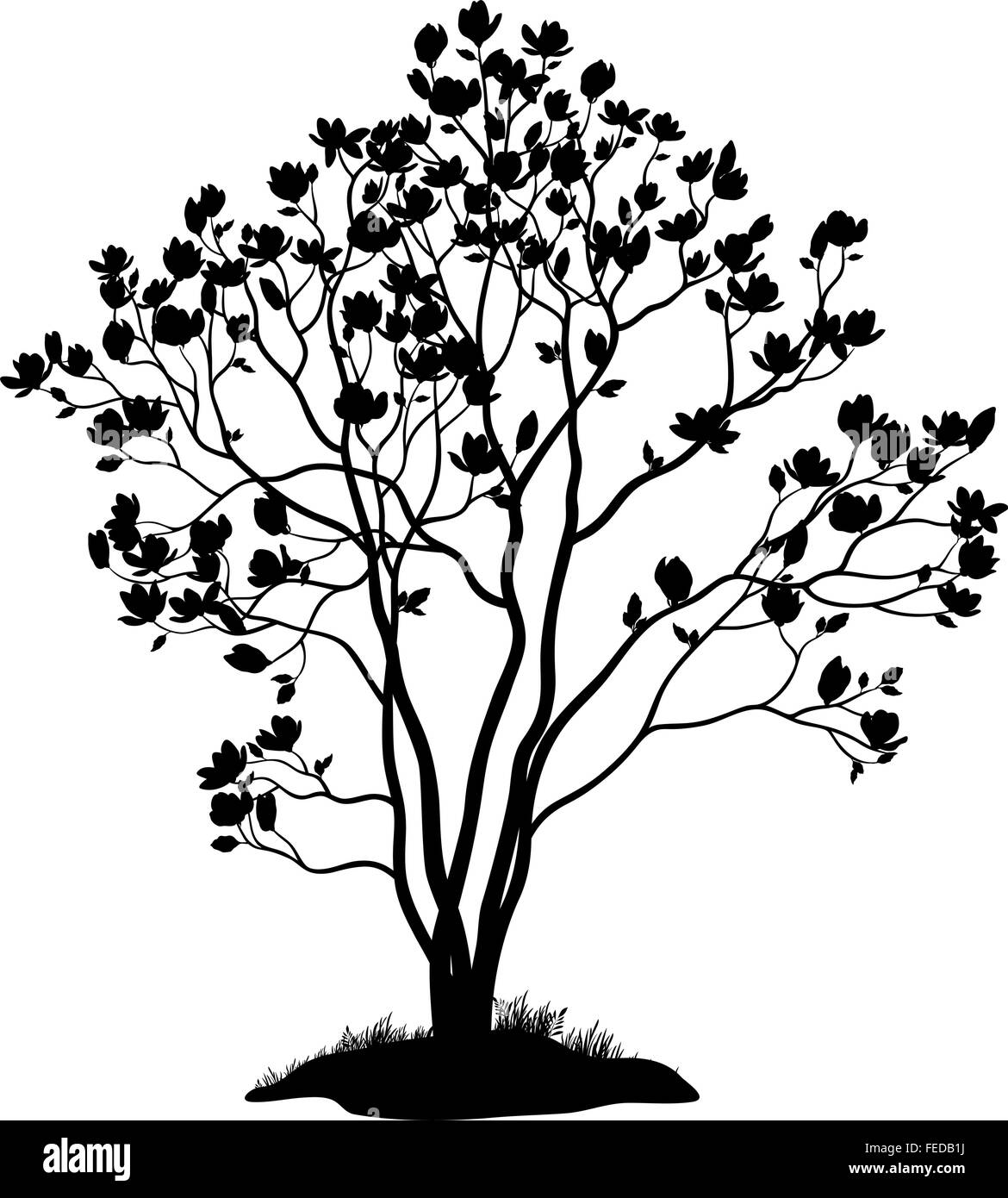 Magnolia Tree with Flowers and Grass Silhouette Stock Vector Image ...