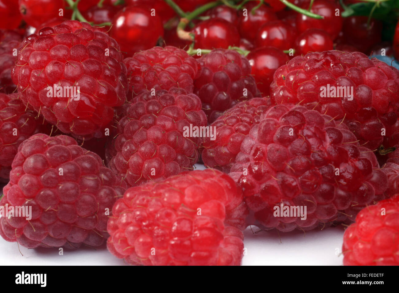 Raspberry Stock Photo