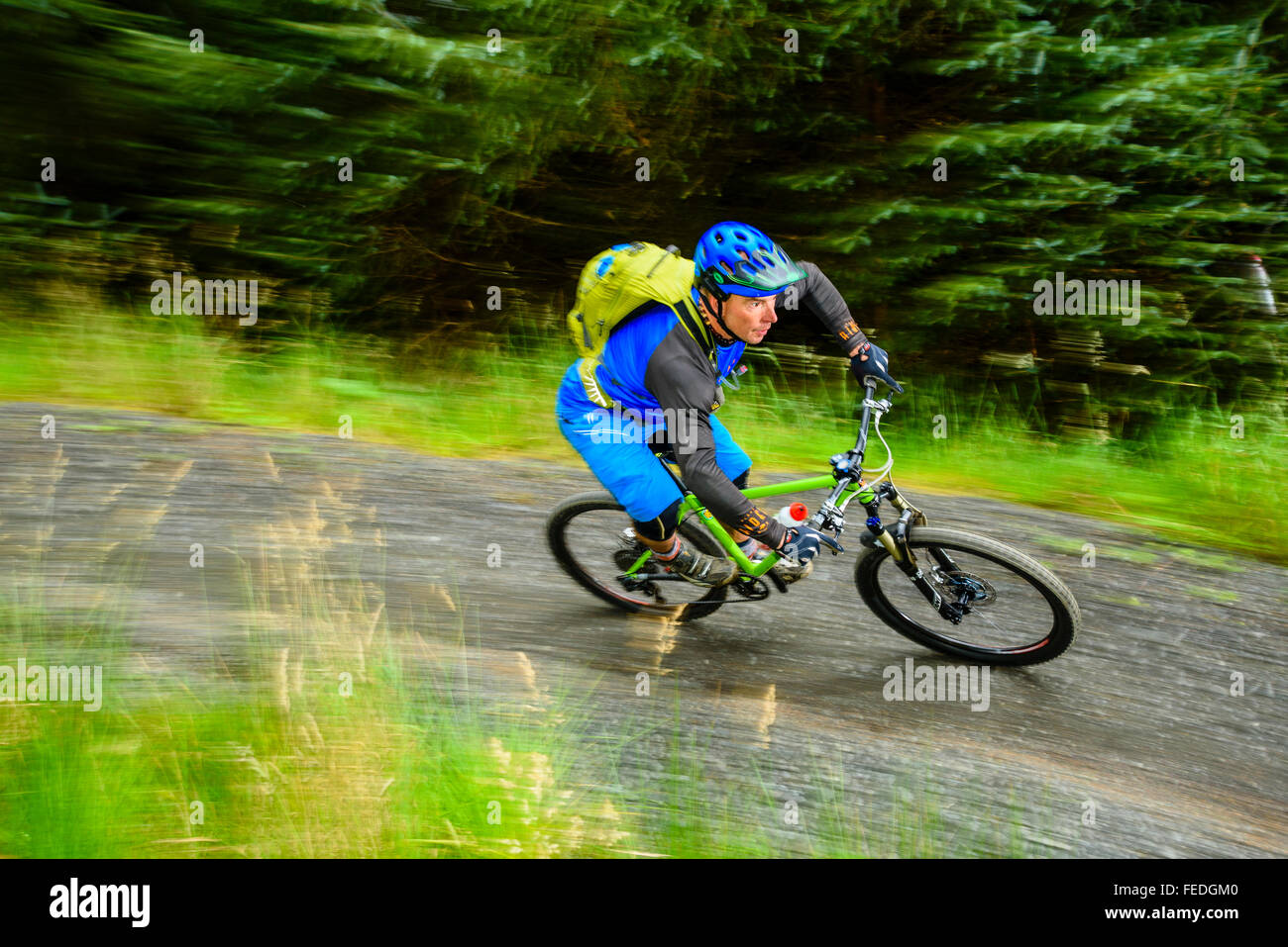 Mountain biker on DeadwaterTrail in Kielder Forest Park Northumberland National Park Stock Photo
