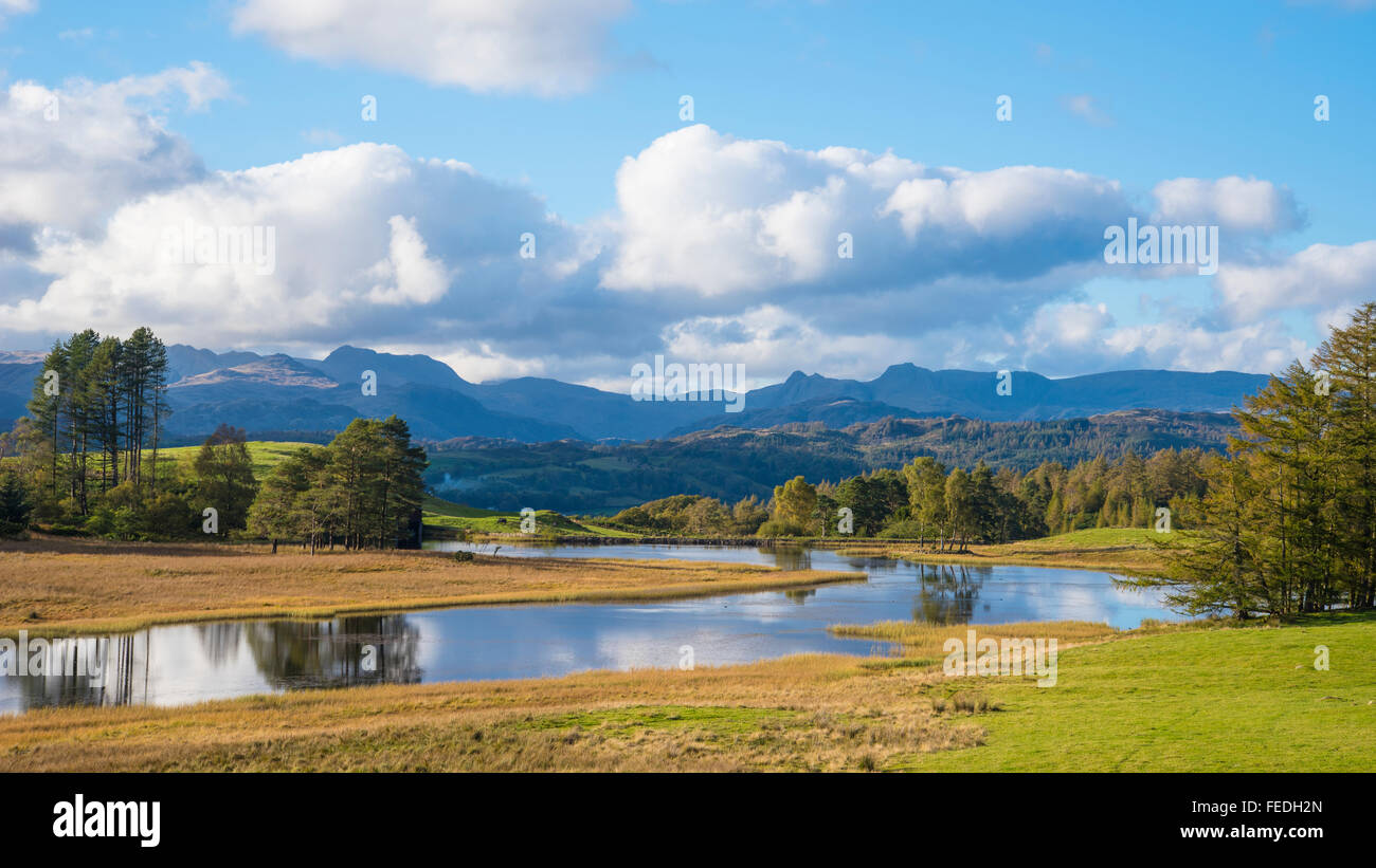 Wise Een Tarn on Claife Heights Lake District with Wetherlam Bowfell and the Langdale Pikes on the skyline Stock Photo