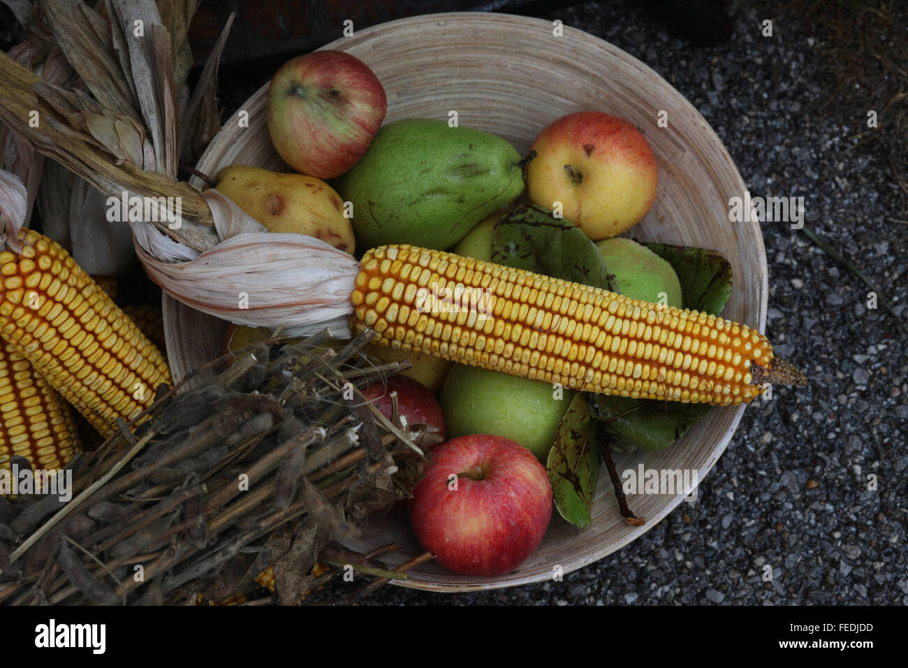 Autumn Harvest Stock Photo