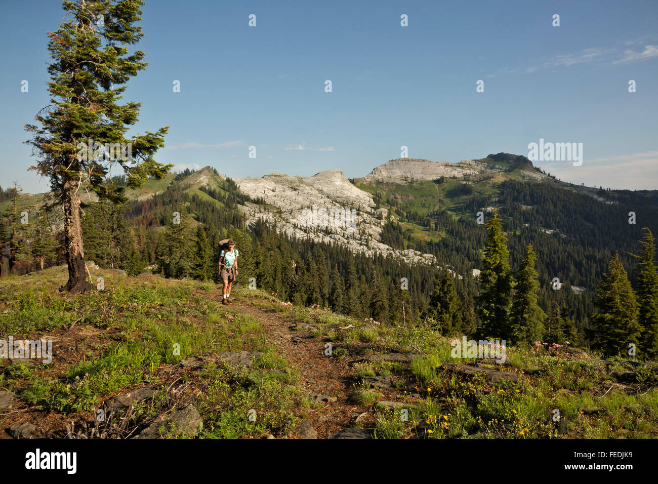 Marble mountain wilderness, california hires stock photography and