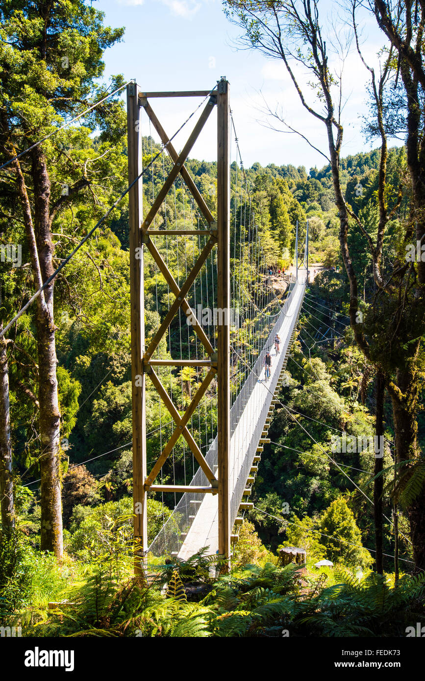 Mountain bikers crossing the Maramataha suspension bridge on the Timber Trail in Pureora Forest Park North Island New Zealand Stock Photo