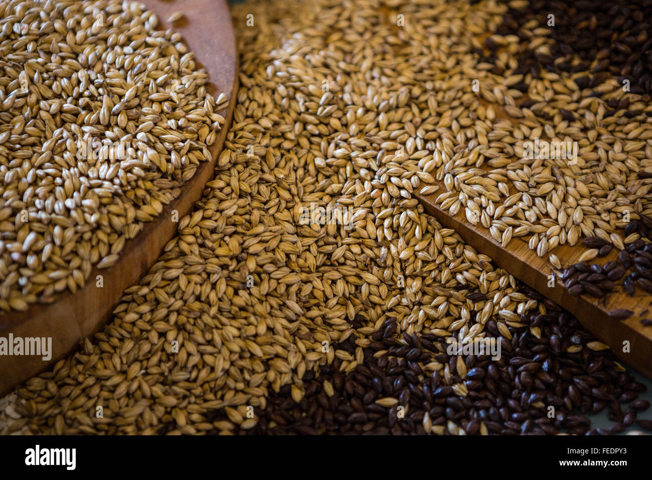 Grains used for brewing beer Stock Photo Alamy