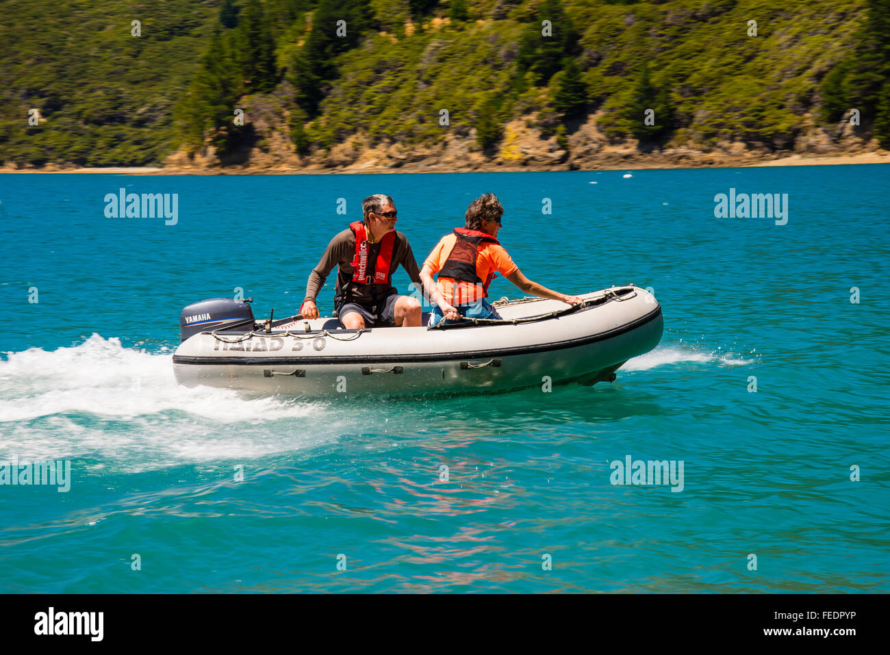 Dinghy at speed in Ketu Bay Pelorus Sound Marlborough Sounds South Island New Zealand Stock Photo