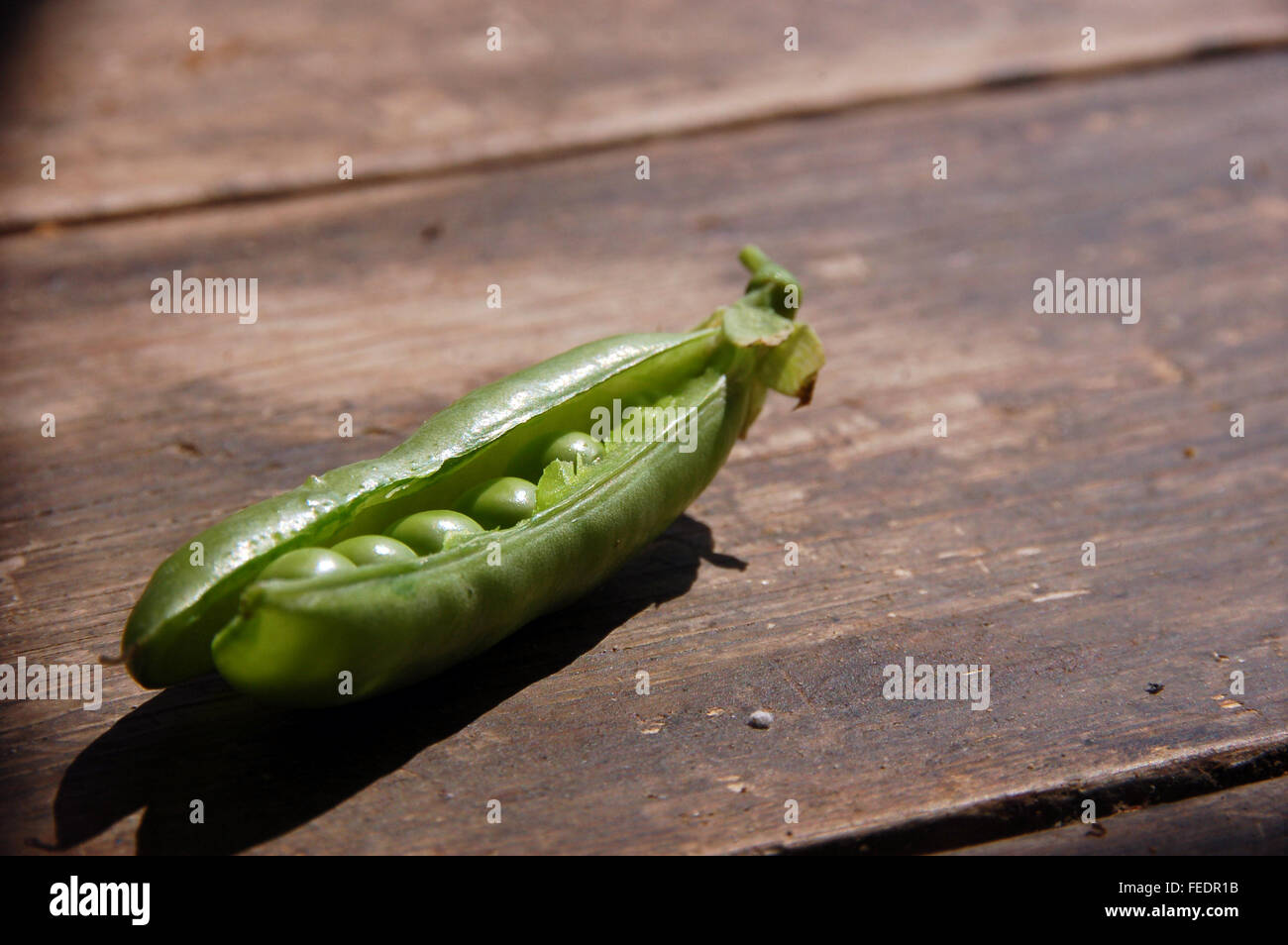 Close up of Fresh peas on wooden farm table Stock Photo