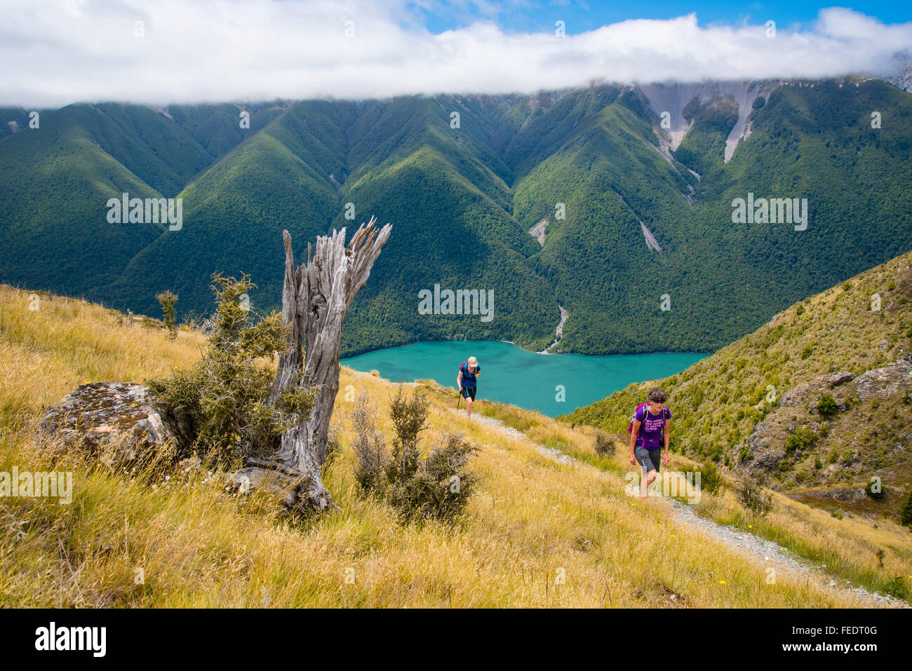 Hikers on Paddy’s Track on Mount Robert above Lake Rotoiti in Nelson Lakes National Park South Island New Zealand Stock Photo