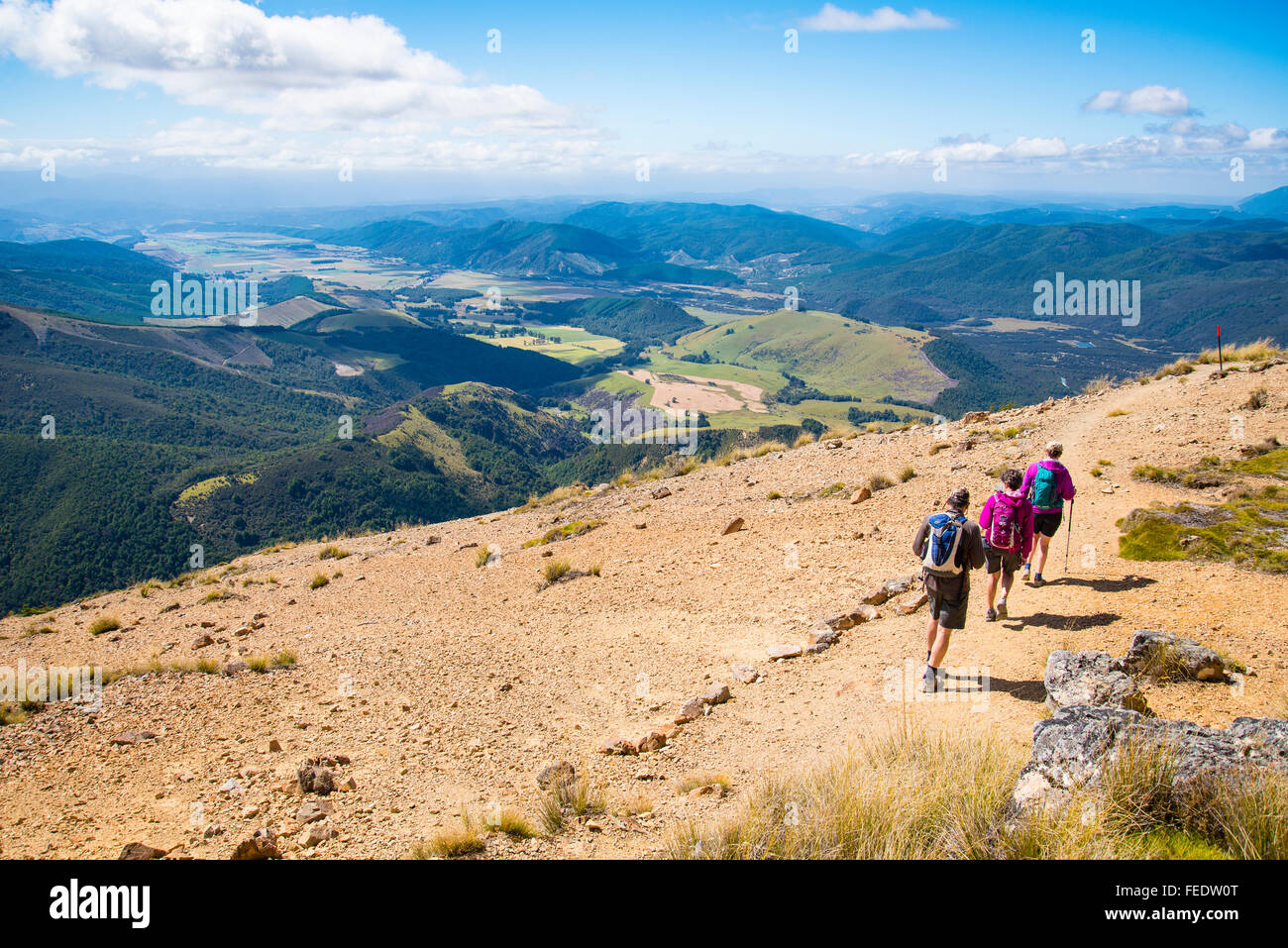 Hikers descending Pinchgut Track on Mount Robert above Lake Rotoiti in Nelson Lakes National Park South Island New Zealand Stock Photo