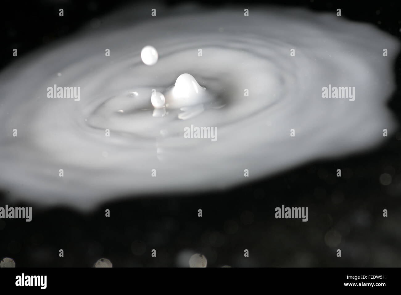 Drops of milk fall down Stock Photo Alamy