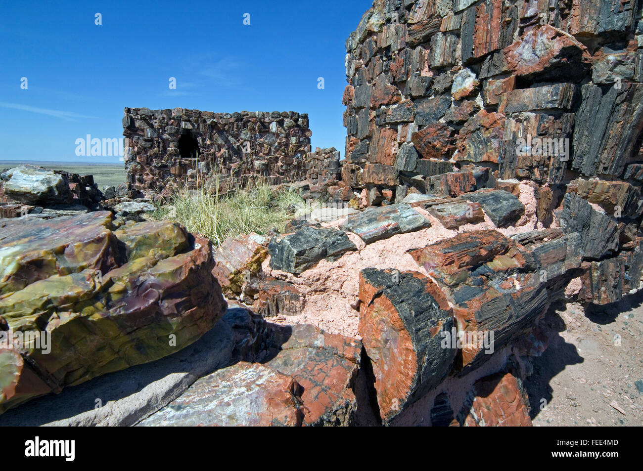 Agate House, Puebloan building built almost entirely of petrified wood