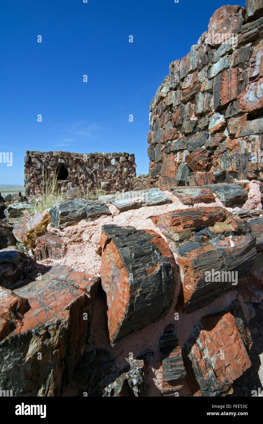 Agate House, Puebloan building built almost entirely of petrified wood