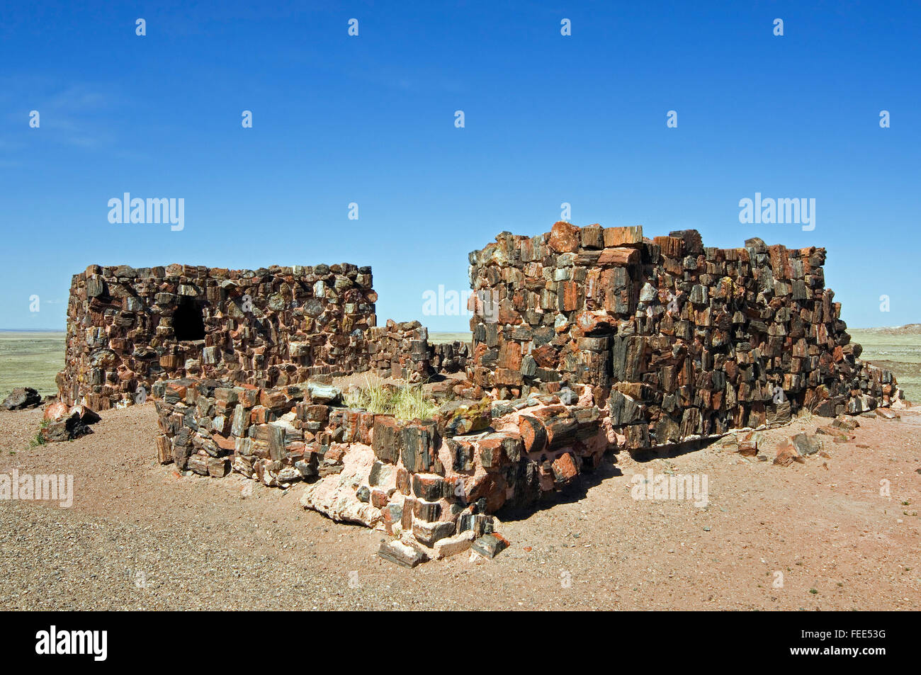 Agate House, Puebloan building built almost entirely of petrified wood