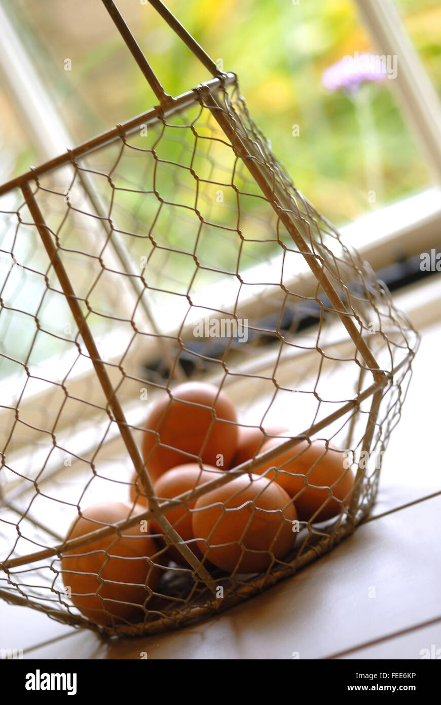 Eggs in wire basket Stock Photo Alamy