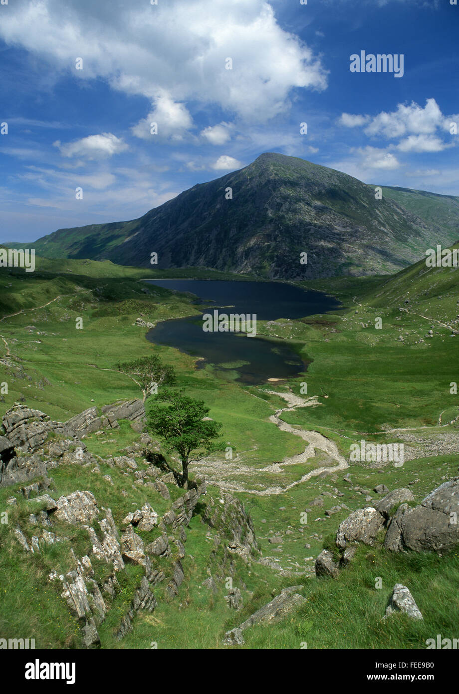Cwm Idwal In Summer View Over Llyn Idwal Lake And Pen Yr Ole - 