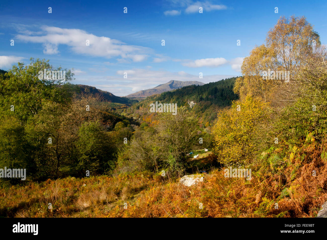 Lledr valley looking towards Moel Siabod in autumn Near Betws-y-Coed Snowdonia National PArk Conwy County North Wales UK Stock Photo
