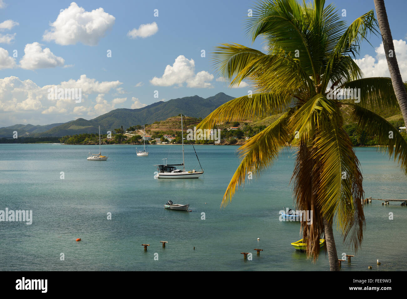 Tropical scene of sky, mountains, palm trees, boats and calm waters. Patillas, Puerto Rico. Caribbean Island. Stock Photo