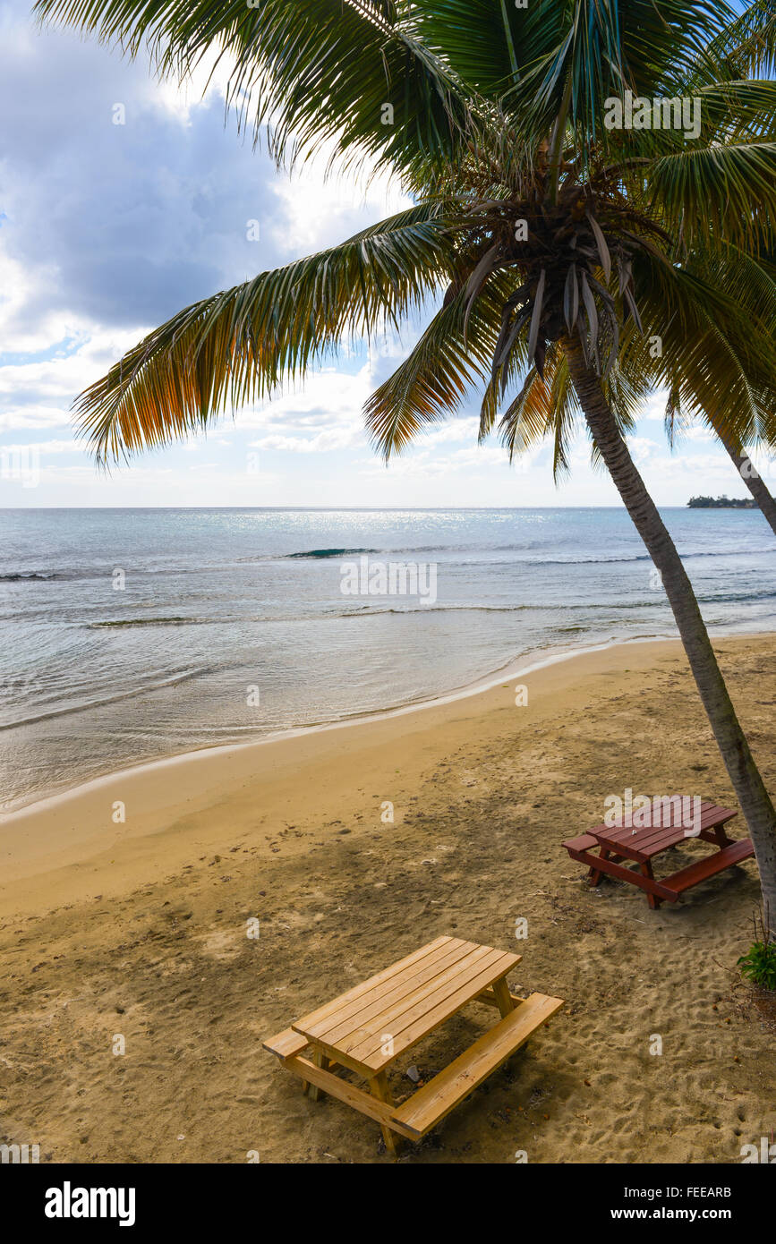 Tropical scene along the shore of the town of Patillas, Puerto Rico. Caribbean Island. US territory. Stock Photo