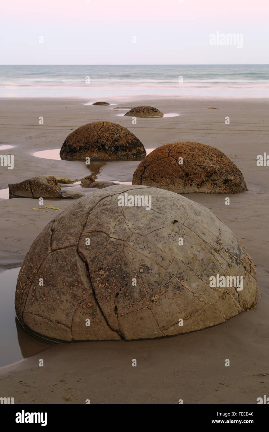 The concretions known as the Moeraki Boulders, exposed at low tide on the beach - Moeraki, Otago, New Zealand. Stock Photo