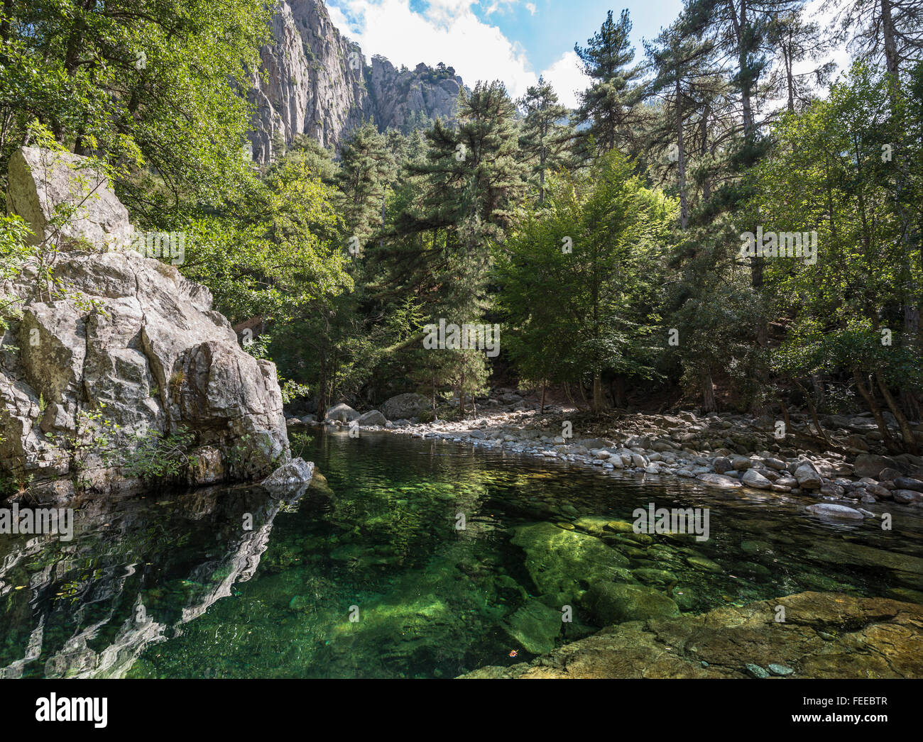 river-tavignano-corte-haute-corse-corsica-france-stock-photo-alamy