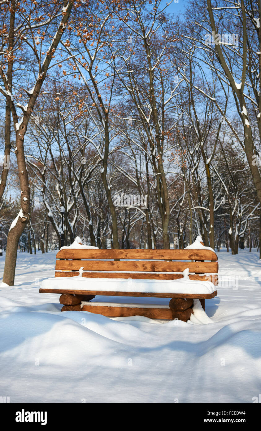Wooden bench in the winter city park. Bright sunny day and snow Stock ...
