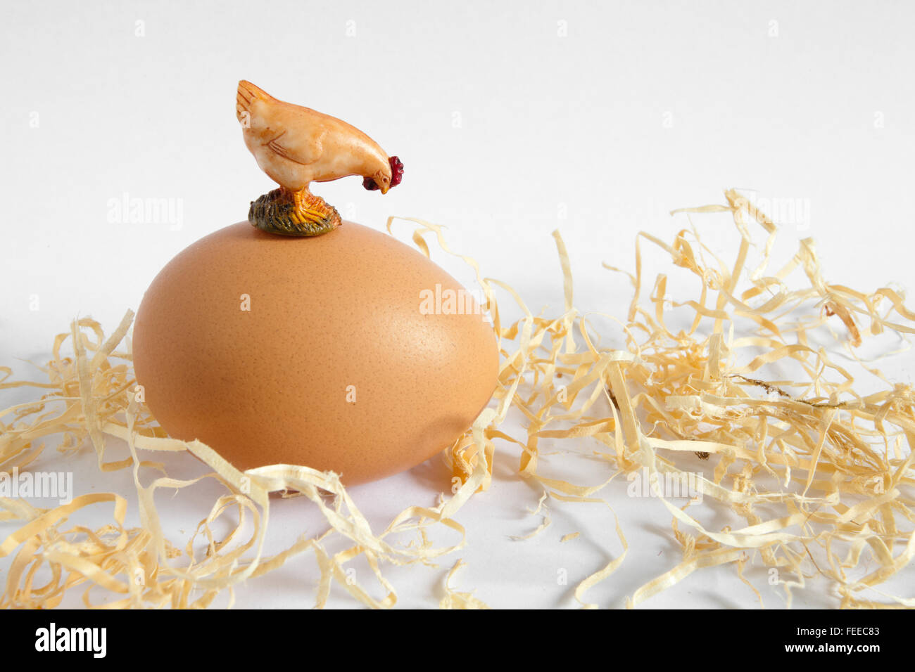 hen and an egg Stock Photo