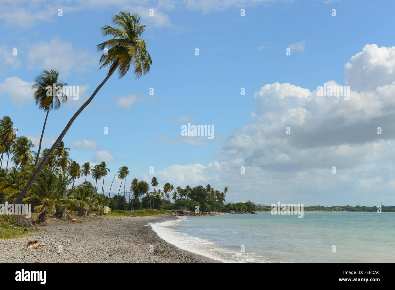 Tropical View Of A Rocky Sand Beach In Salinas Puerto Rico Stock Photo Alamy