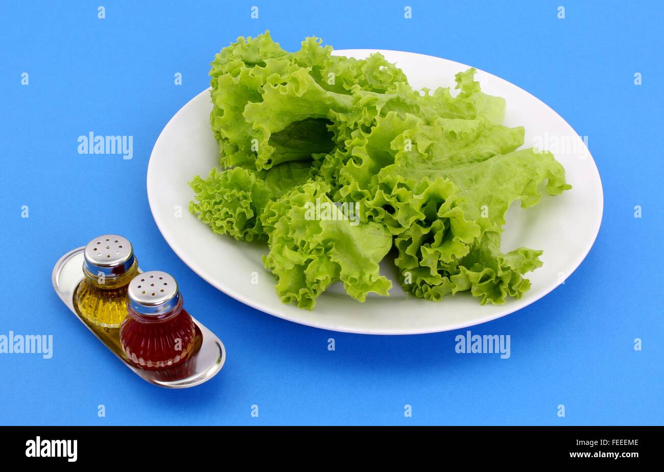 Lettuce before seasoned with vinegar, with fresh appearance Stock Photo