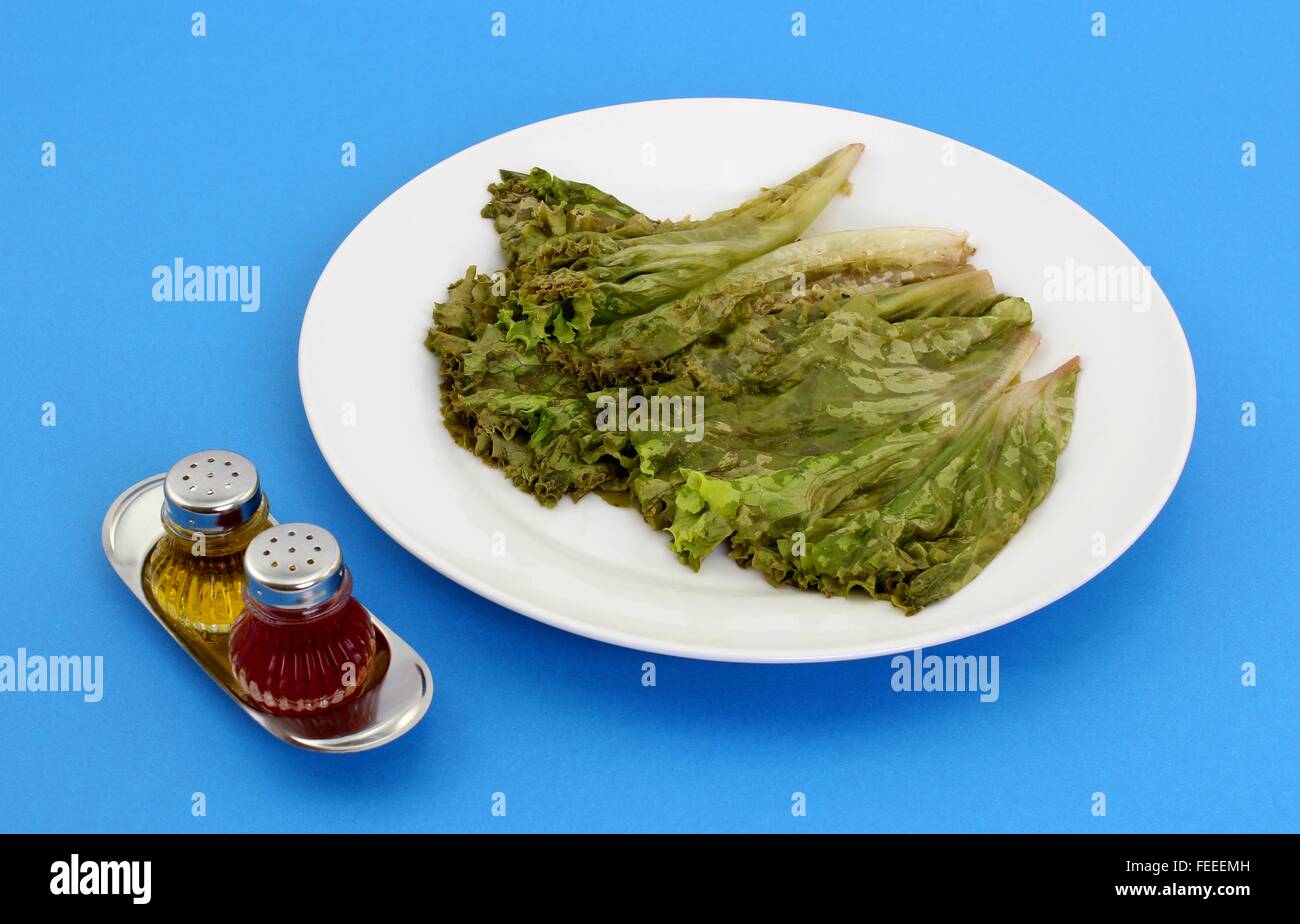 Lettuce after seasoned with vinegar, leaving withered appearance Stock
