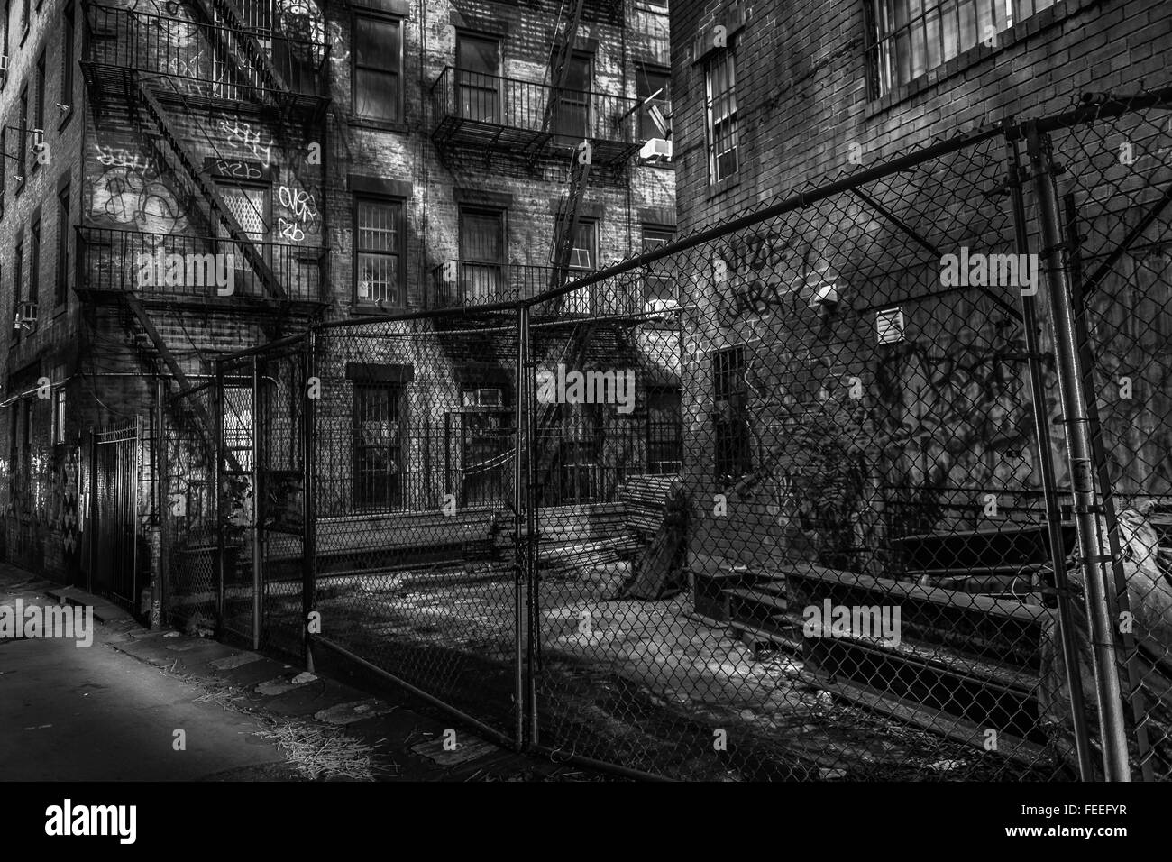 The bronx Black and White Stock Photos & Images - Alamy