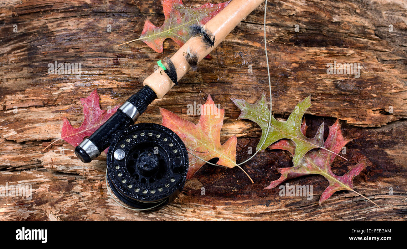 Fly fishing reel with wet weathered tree and fall leaves. Horizontal layout. Stock Photo