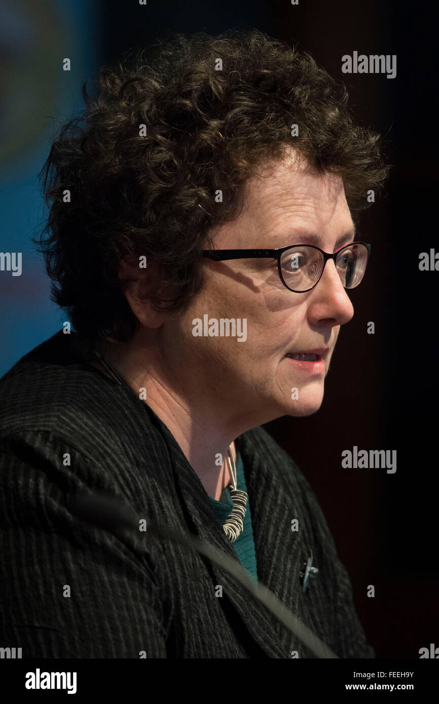 Plaid Cymru AM Elin Jones. Stock Photo