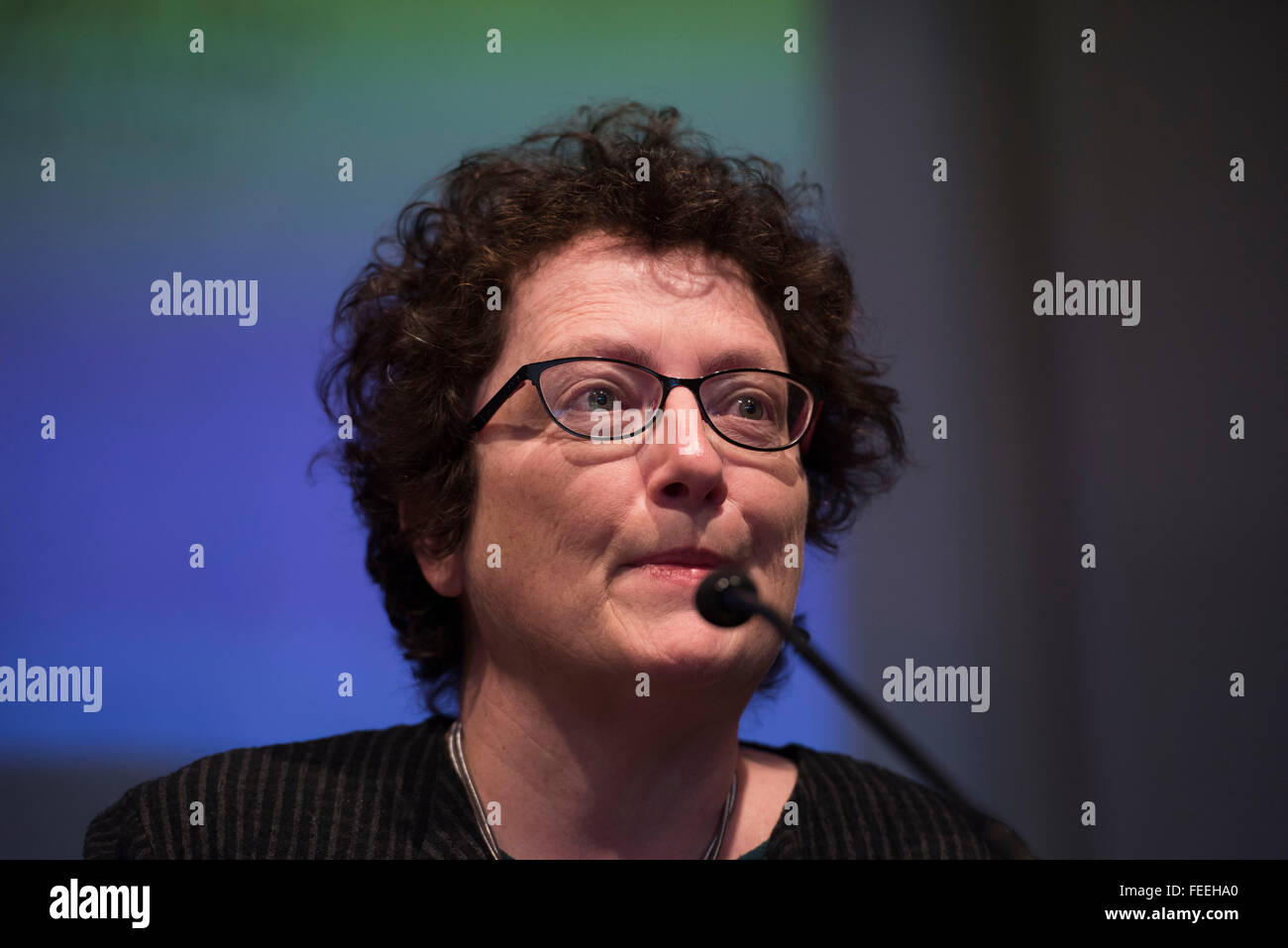 Plaid Cymru AM Elin Jones. Stock Photo