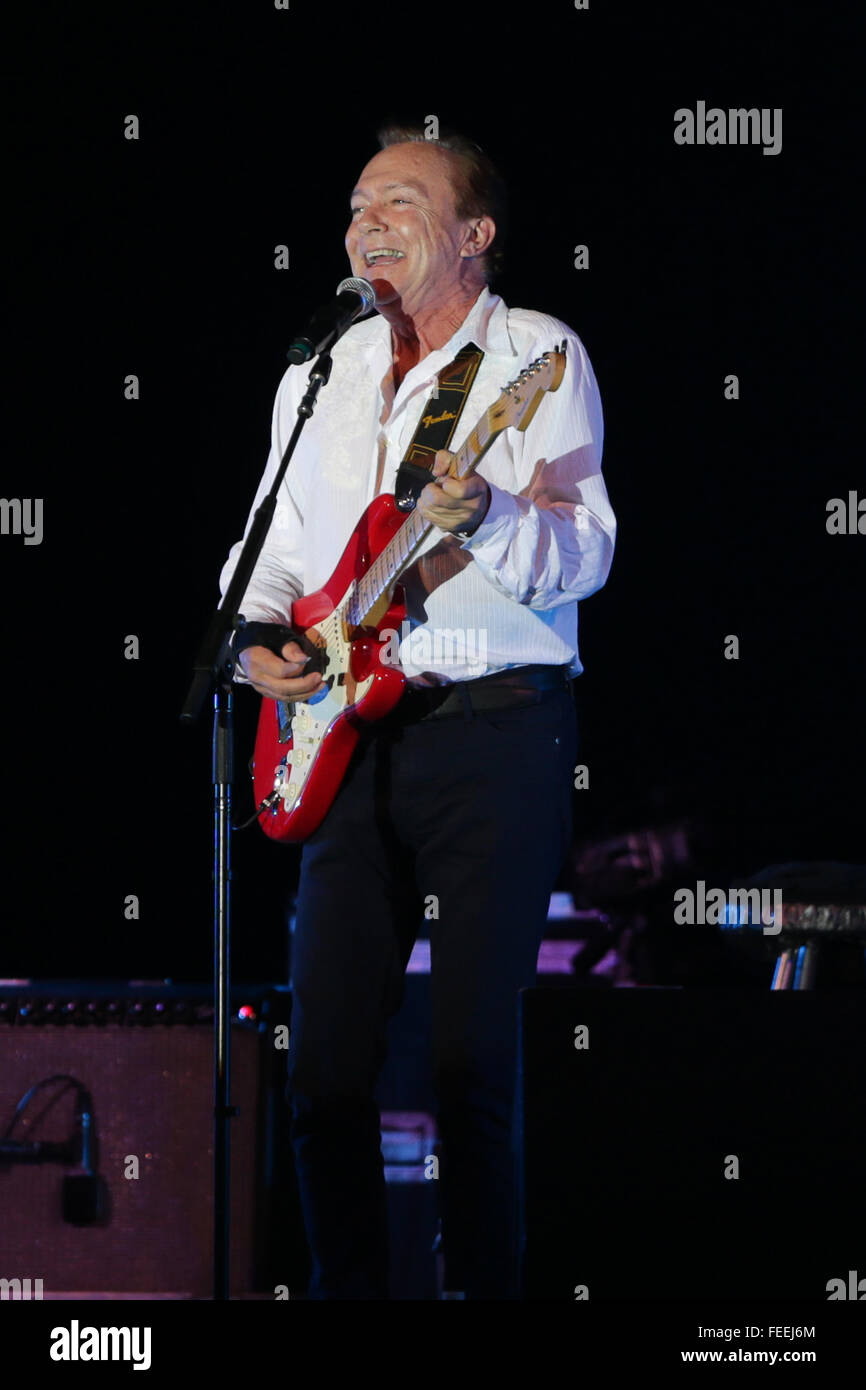 David Cassidy performs in concert at John J. Burns Park on August 8, 2015 in Massapequa Park, New York. Stock Photo