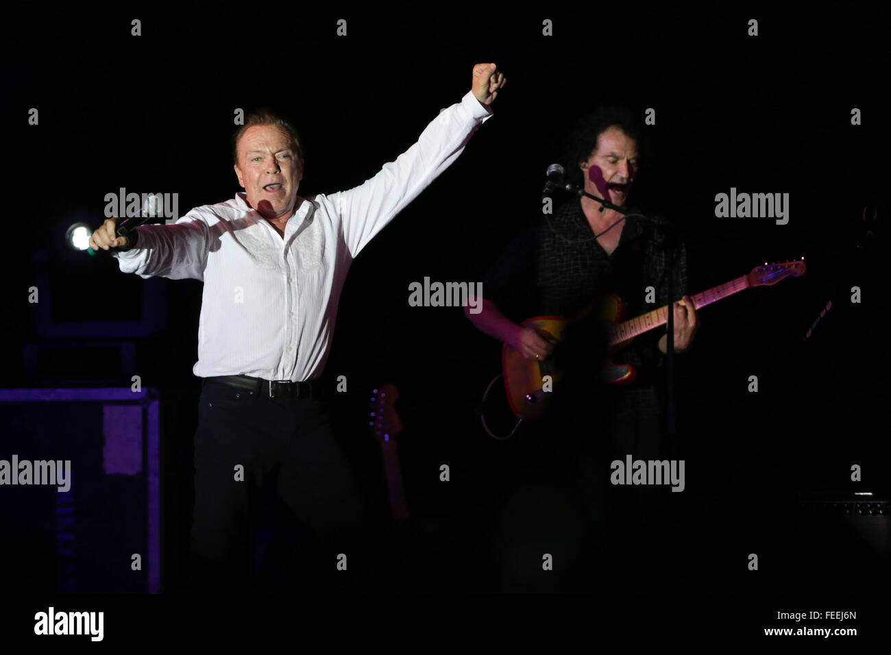 David Cassidy (L) performs in concert at John J. Burns Park on August 8, 2015 in Massapequa Park, New York. Stock Photo