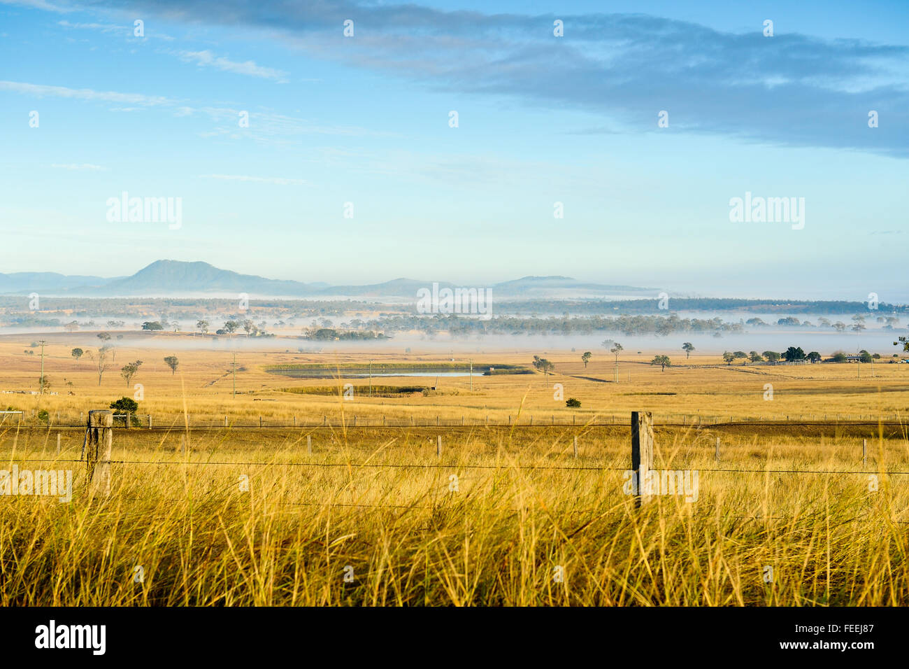 Golden grass field and morning mist under blue sky Stock Photo