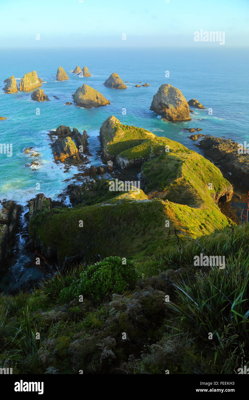 Some of the numerous 'nuggets' at Nugget Point Lighthouse on the Catlins Coast of New Zealand. Stock Photo