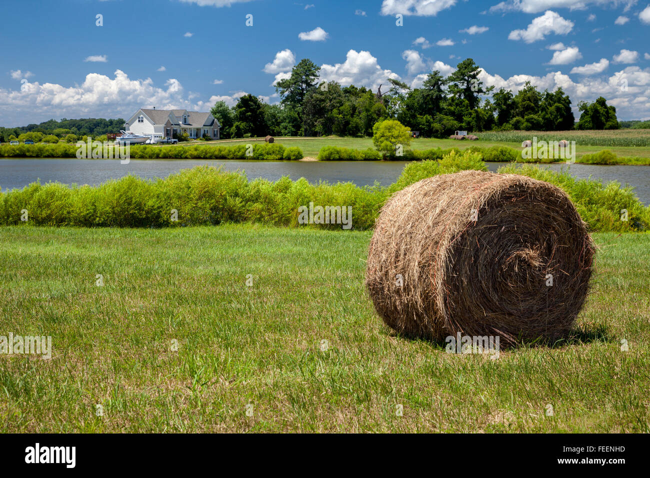 Leonardtown, Maryland, USA.  Farm, with Hay Bale in Pasture, Pond, Barns, Cornfield in Distance. Stock Photo